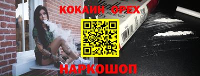 молекула духа Камышлов