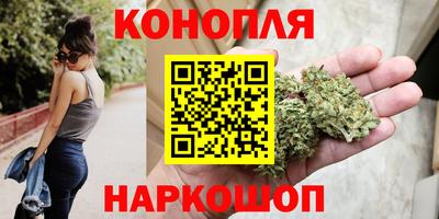 молекула духа Камышлов