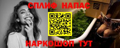 молекула духа Камышлов