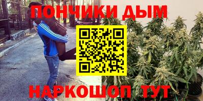 молекула духа Камышлов